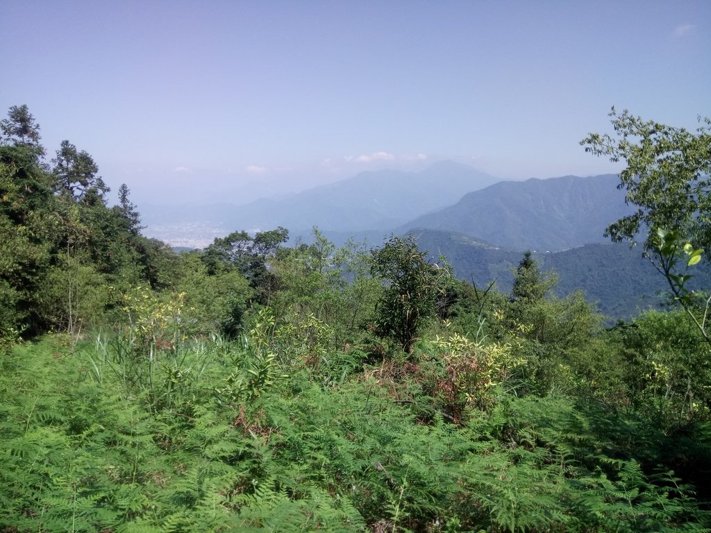 DSC_4047.JPG - 魚池  過坑山登山步道