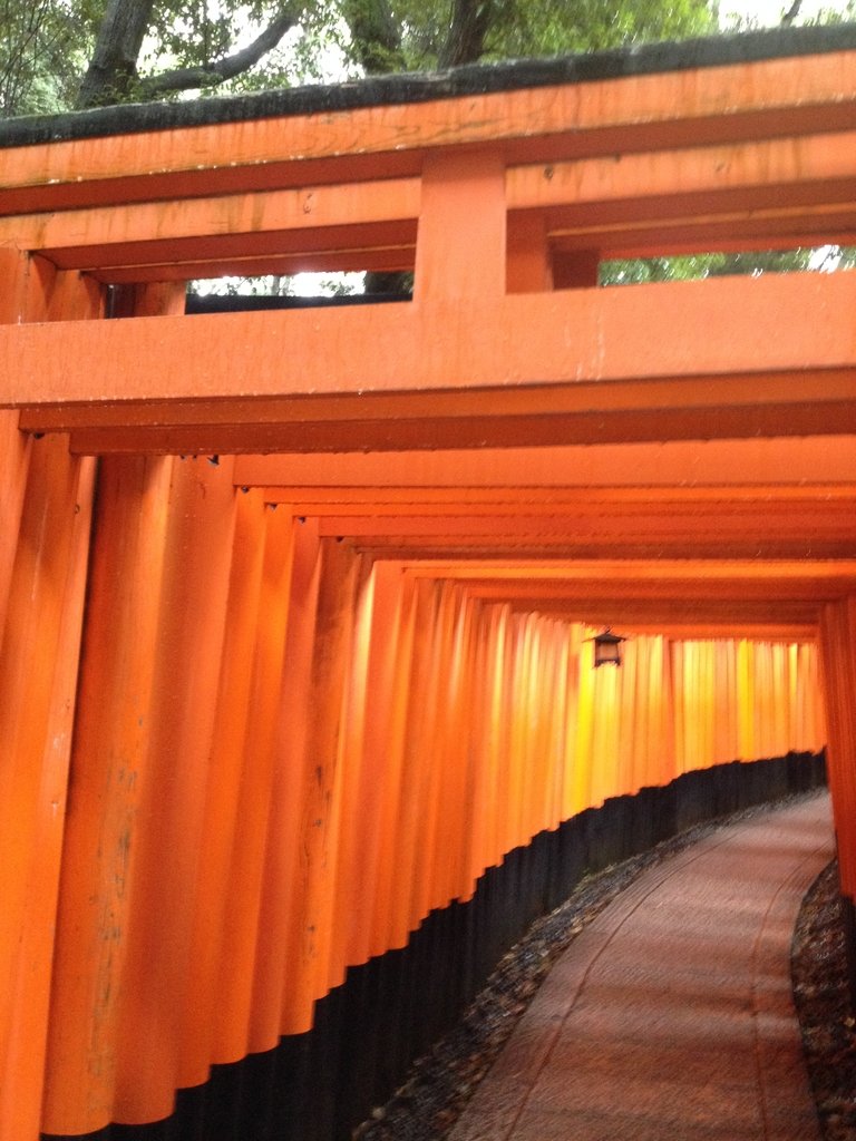 IMG_2623.JPG - 伏見稻荷神社  千本鳥居