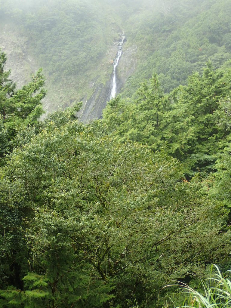 P8226853.JPG - 大同  太平山森林遊樂區