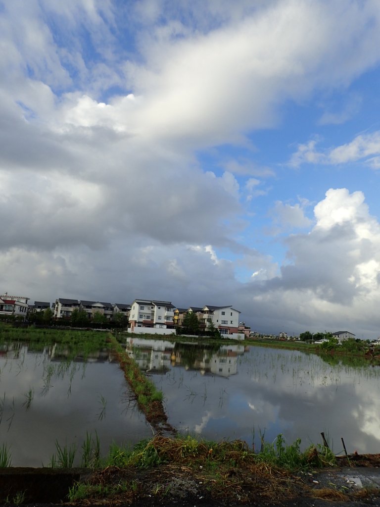 PA104170.JPG - 壯圍  竹安  水田雲影