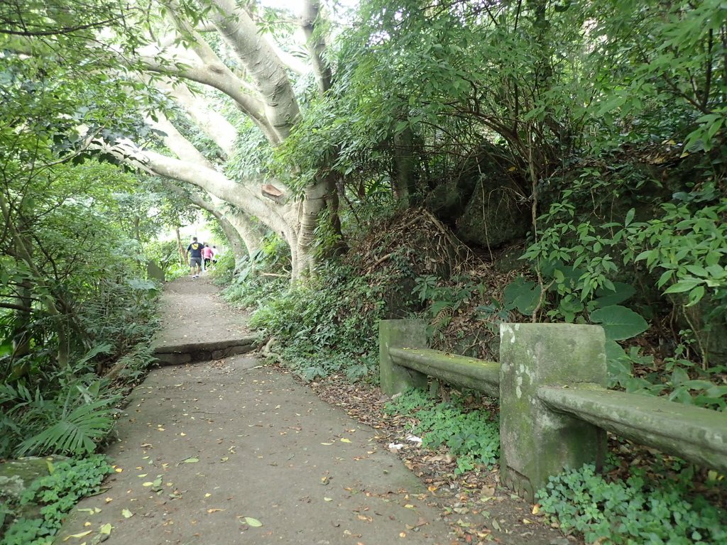 觀音山  參道紀行  (下)