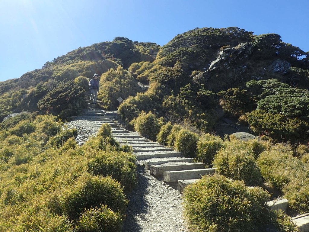 PC132176.JPG - 合歡山  東峰