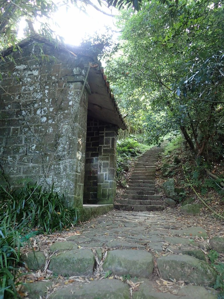 P9238167.JPG - 北投  面天山  向天湖步道