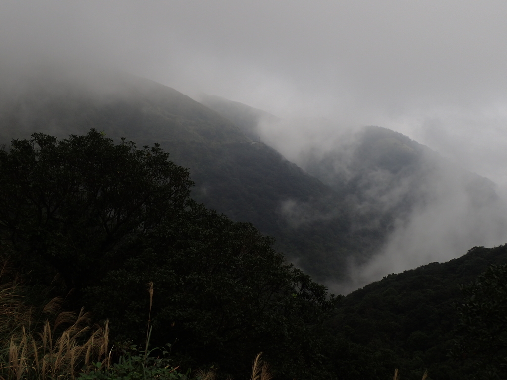 P1203565.JPG - 瑞芳  牡丹山