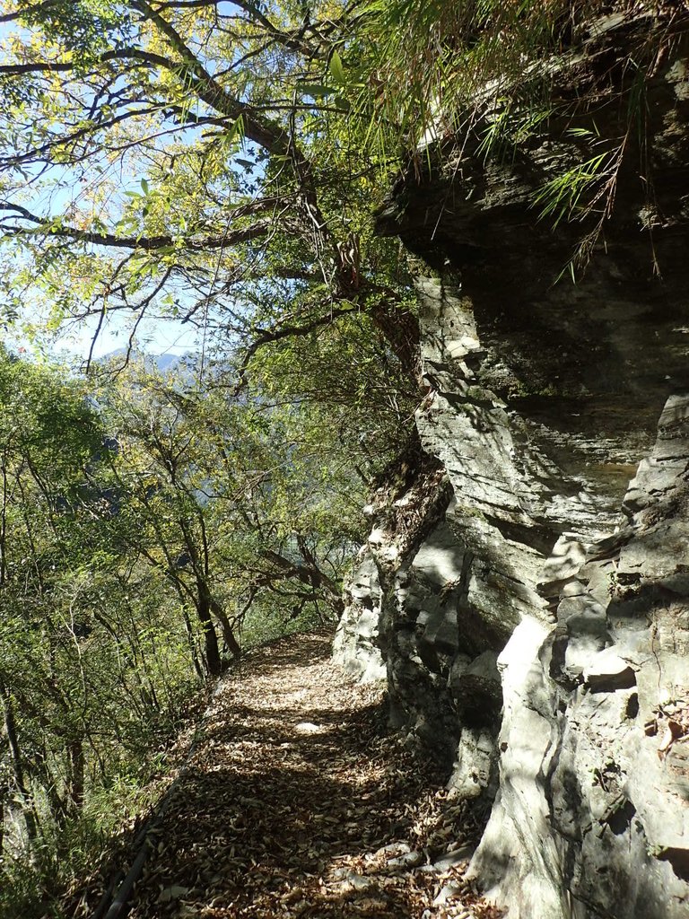 P1022832.JPG - 東埔  八通關古道