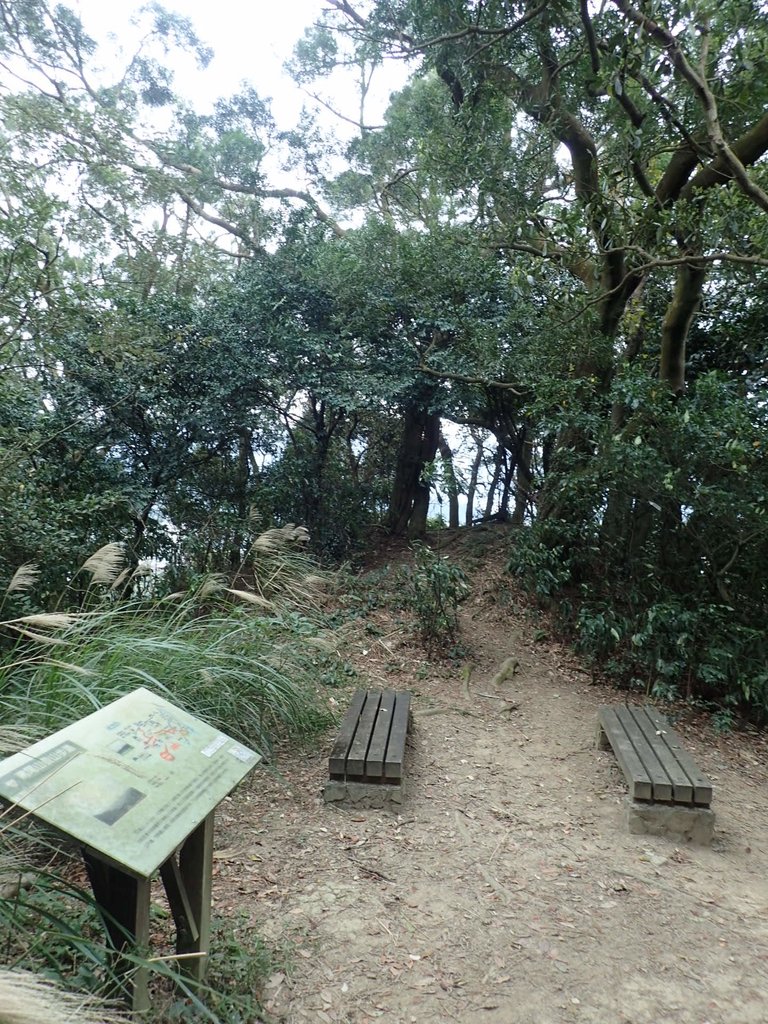 P2167987.JPG - 三峽  鳶尾山登山步道