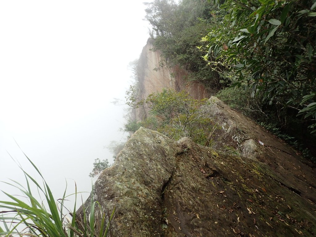 PA231718.JPG - 石壁山  嘉南雲峰步道