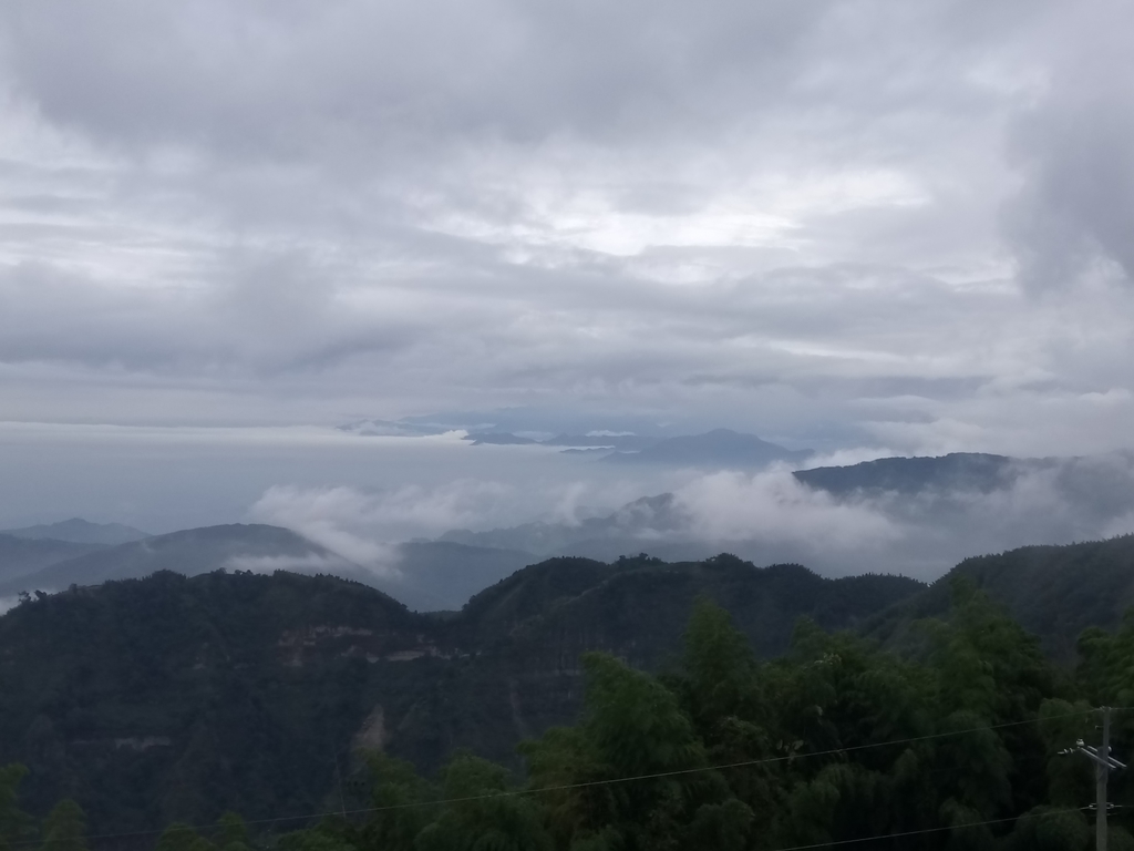 DSC_1328.JPG - 古坑  雲嶺之丘