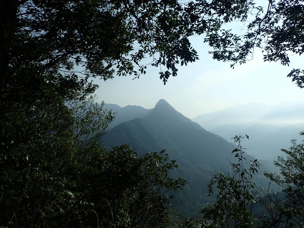 P3217538.JPG - 谷關七雄  白毛山  01