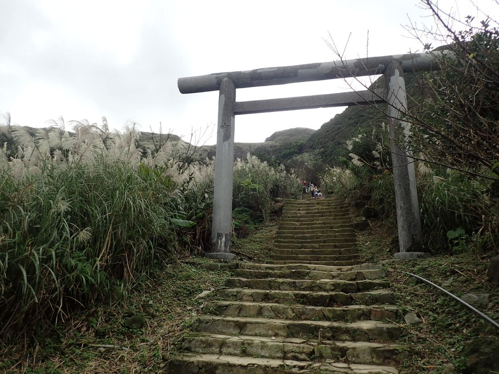 PB290243.JPG - 金瓜石之  黃金神社