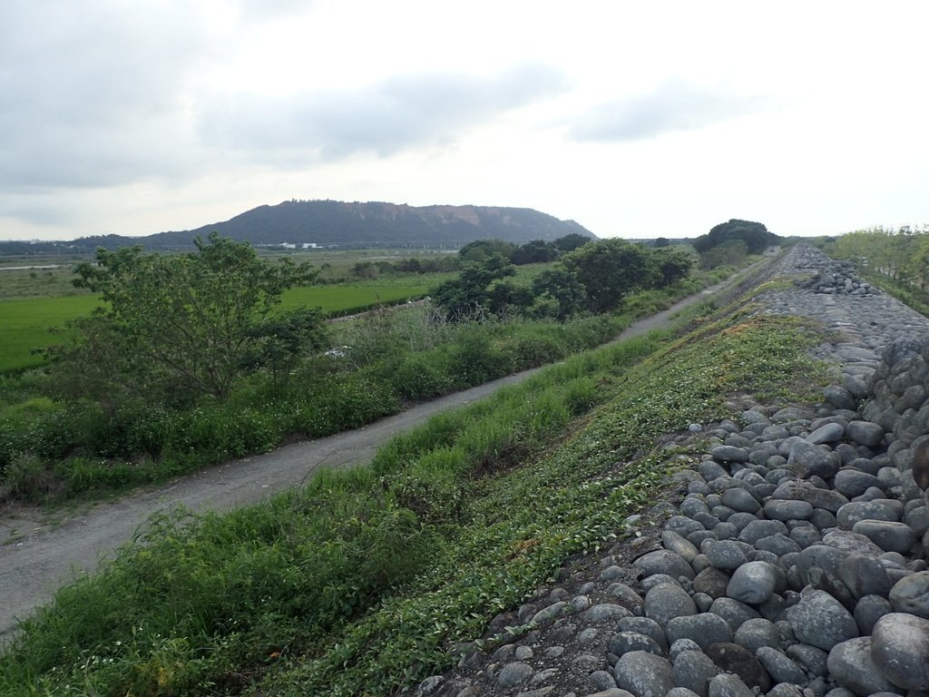 P5314005.JPG - 大甲  大安溪  北堤岸風光