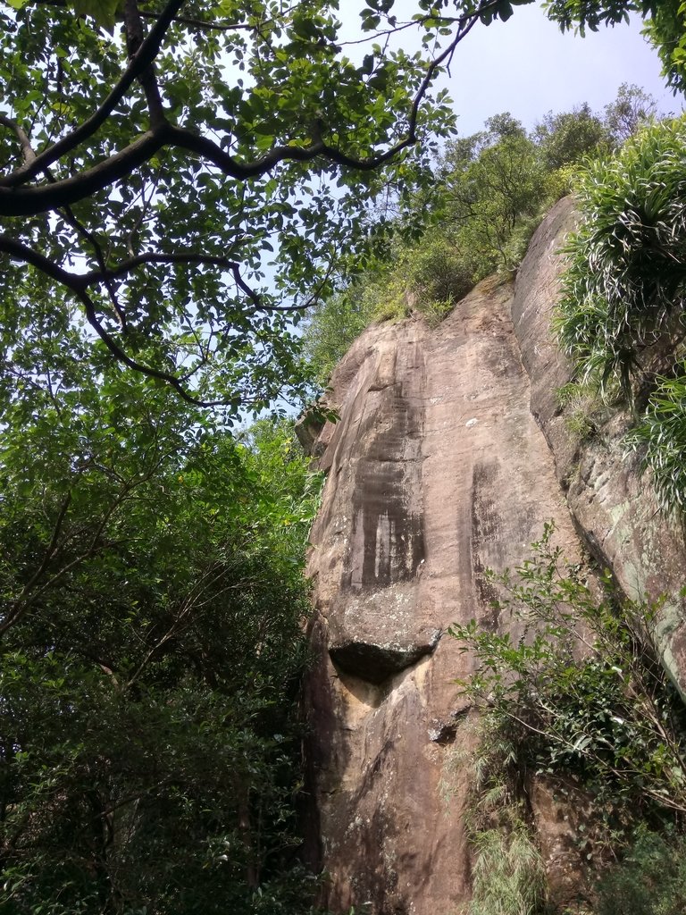 DSC_5272.JPG - 瑞芳  白象山(弘明山) 未竟