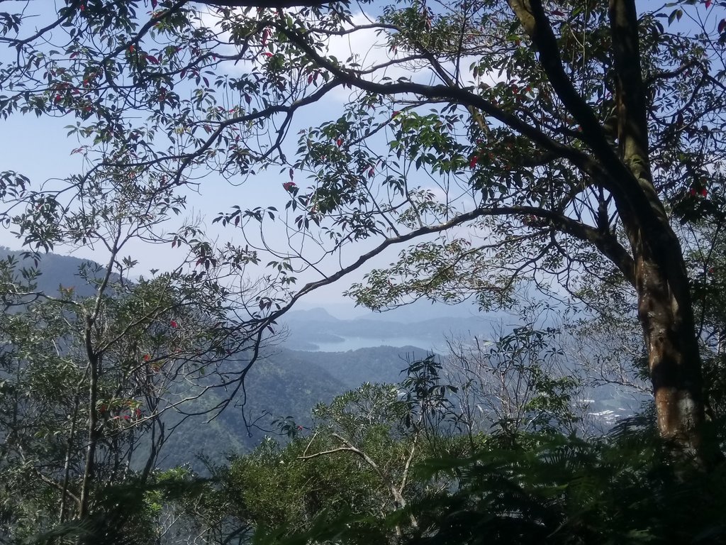 DSC_4051.JPG - 魚池  過坑山登山步道