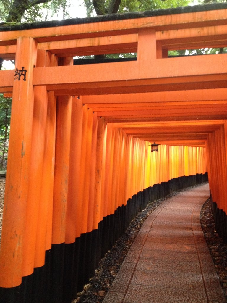 IMG_2626.JPG - 伏見稻荷神社  千本鳥居