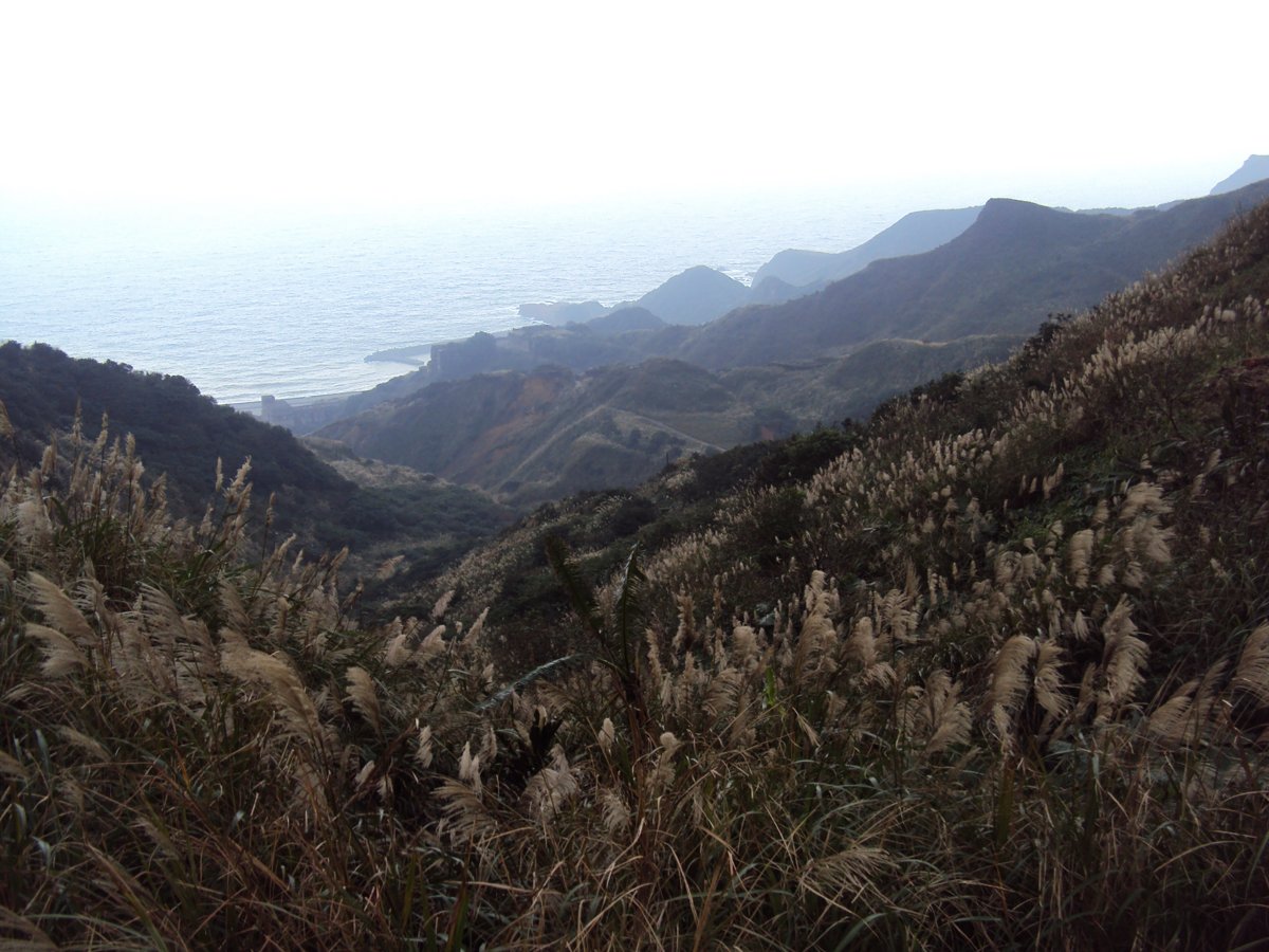 DSC03291.JPG - 報時山步道