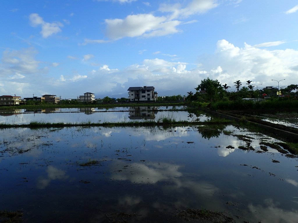 PA104175.JPG - 壯圍  竹安  水田雲影