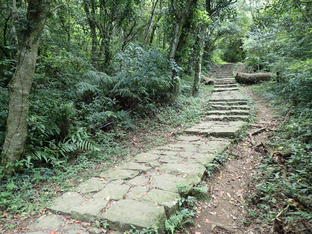 P9238201.JPG - 北投  面天山  向天湖步道