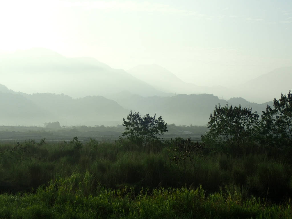 P1073073.JPG - 集集  集鹿大橋  晨光之美