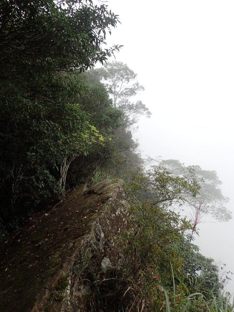 PA231726.JPG - 石壁山  嘉南雲峰步道