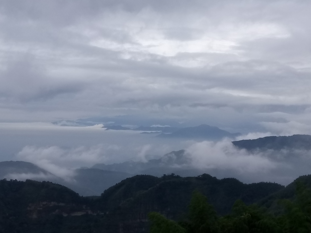 DSC_1329.JPG - 古坑  雲嶺之丘