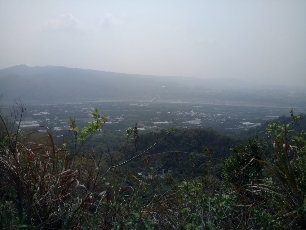 DSC_7314.JPG - 草屯平林  九九峰森林步道