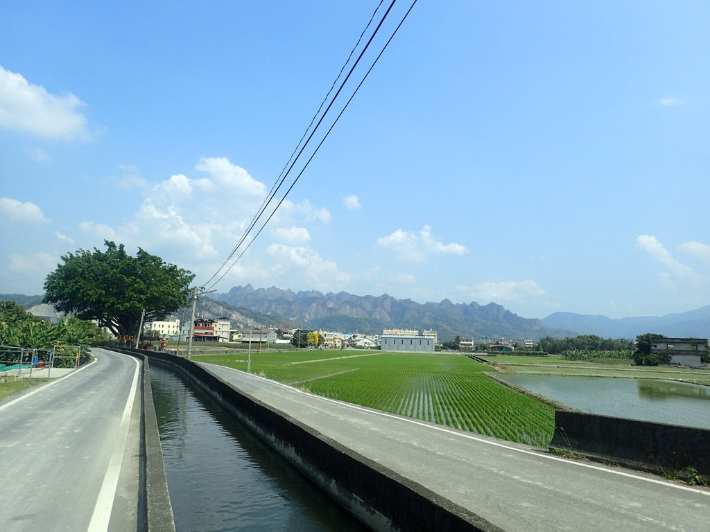 P3016032.JPG - 草屯平林  九九峰森林步道