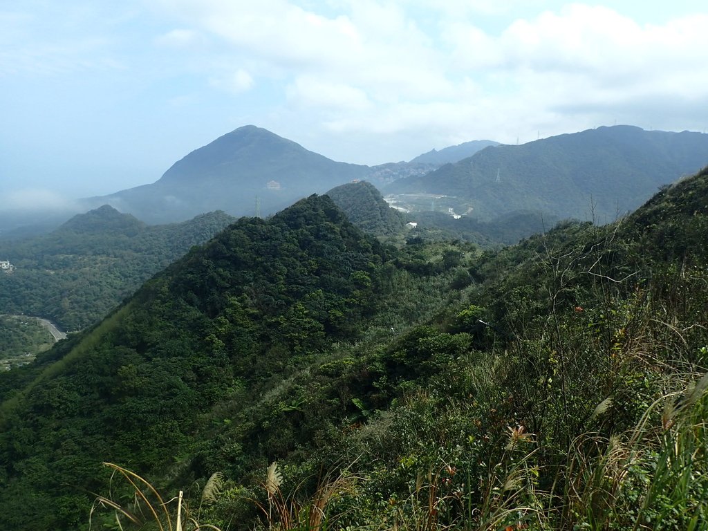 P2145380.JPG - 秀崎山  瑞芳山  龍潭山