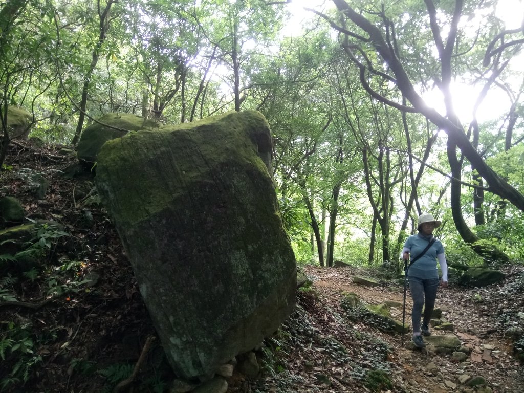 DSC_8669.JPG - 再訪  金包里大道  (魚路古道)