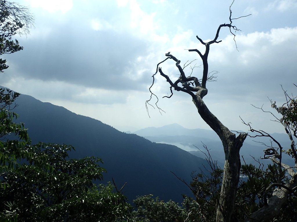 PA040487.JPG - 魚池  大尖山登山步道