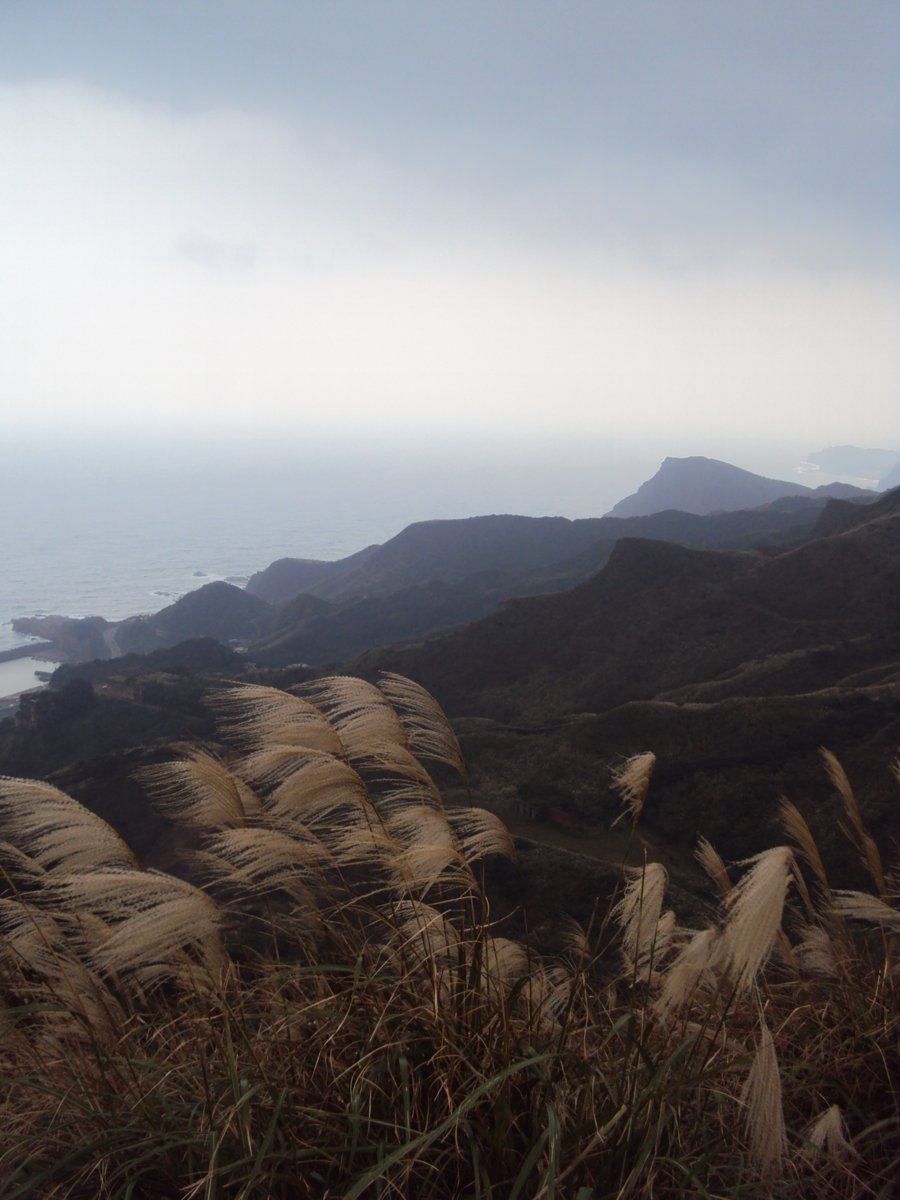 DSC03309.JPG - 報時山步道