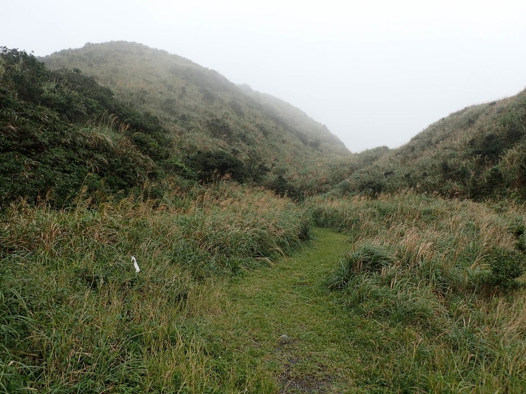 P1203578.JPG - 瑞芳  牡丹山