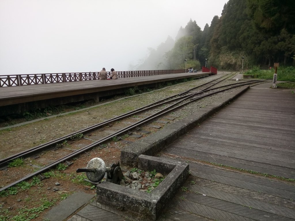 DSC_1521.JPG - 阿里山  二萬坪步道