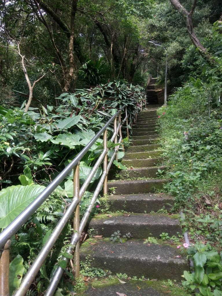 DSC_5915.JPG - 深坑  土庫岳登山步道  (01)