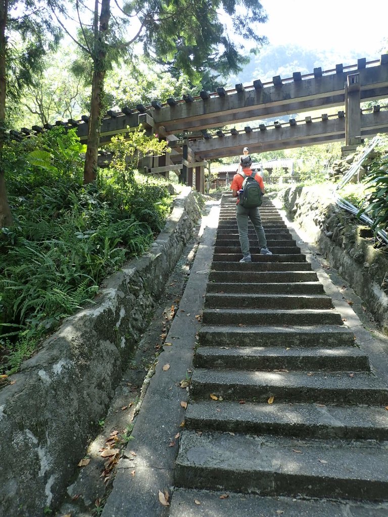 P9087865.JPG - 花蓮  鳳林  林田山林業文化園區