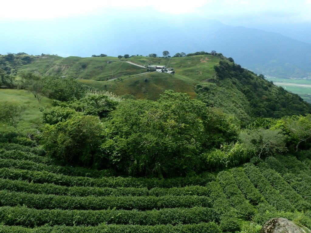 P9087998.JPG - 富里  六十石山  金針花季