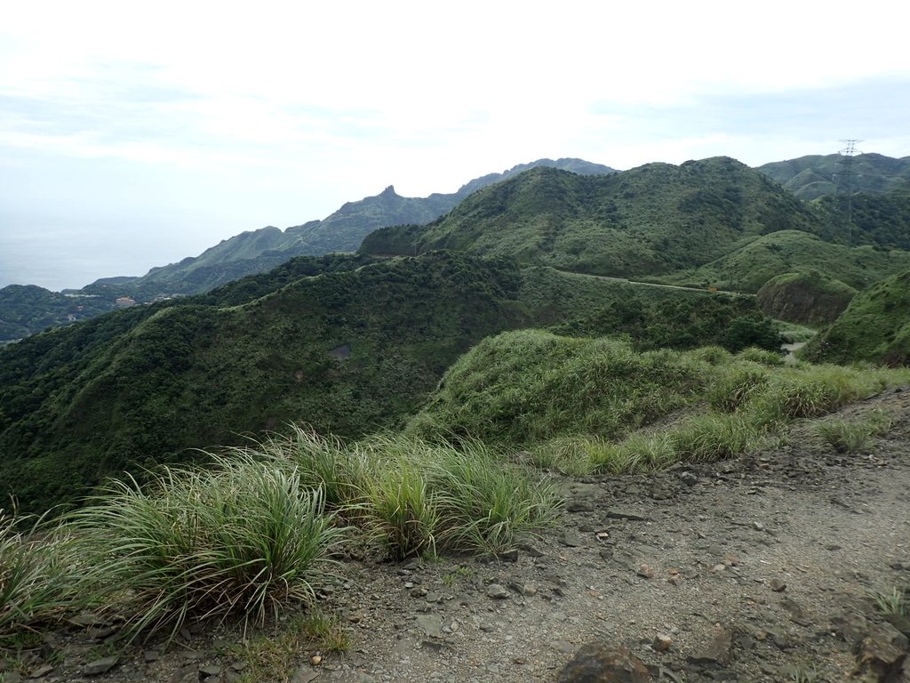 P6090254.JPG - 瑞芳  小金瓜山露頭