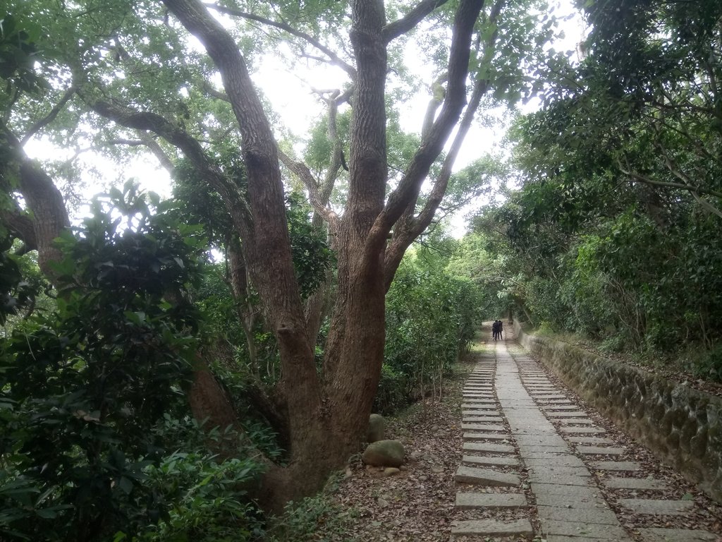 DSC_0900.JPG - 新豐  鳳崎落日步道