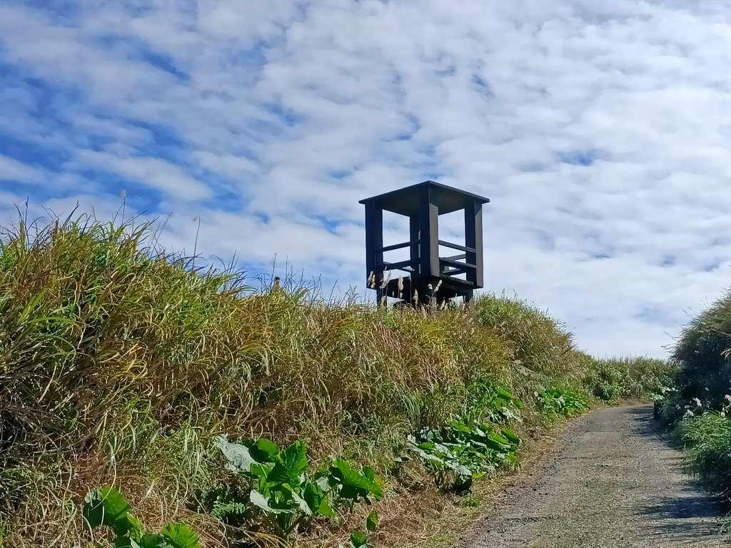 IMG20210121130132.jpg - 瑞芳  草山戰備道  (02)