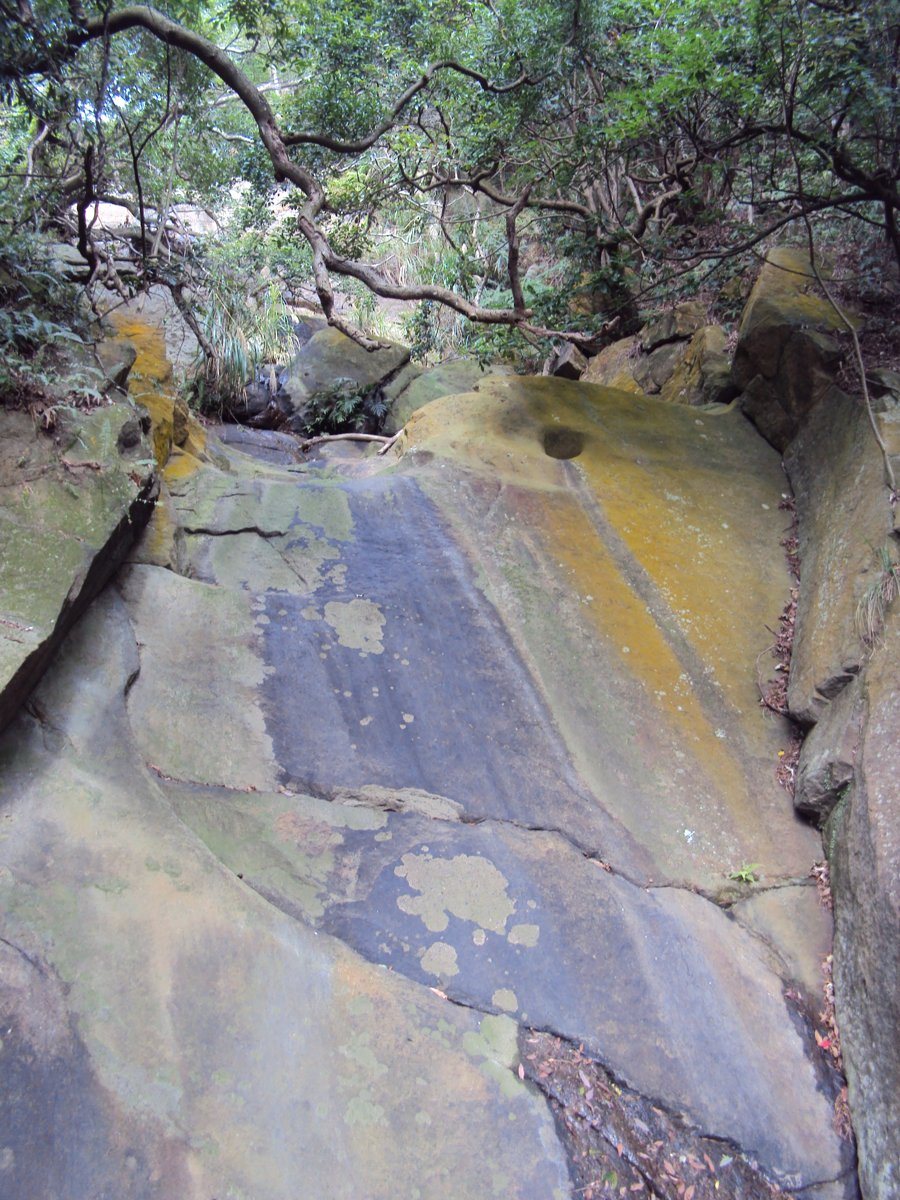 DSC06662.JPG - 內湖  金面山步道