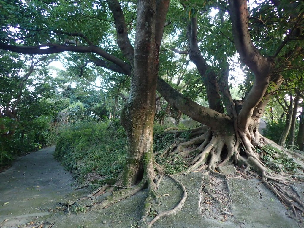 PC018095.JPG - 大直  正願禪寺