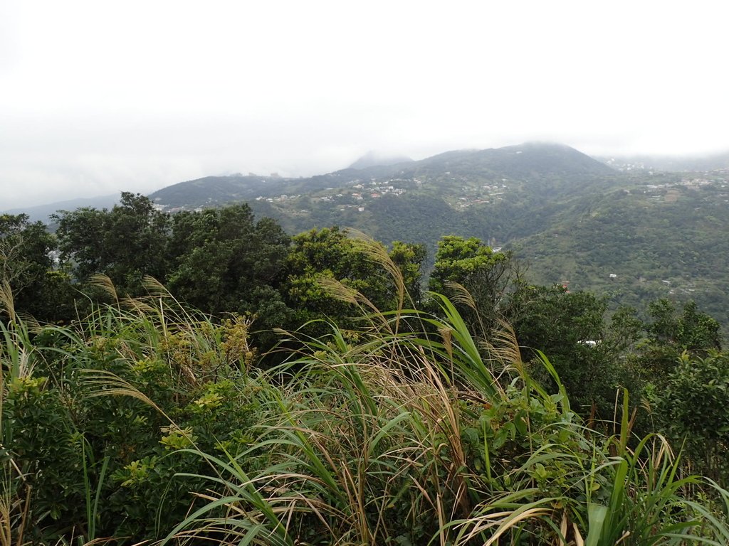 P2288778.JPG - 內湖  大崙尾山