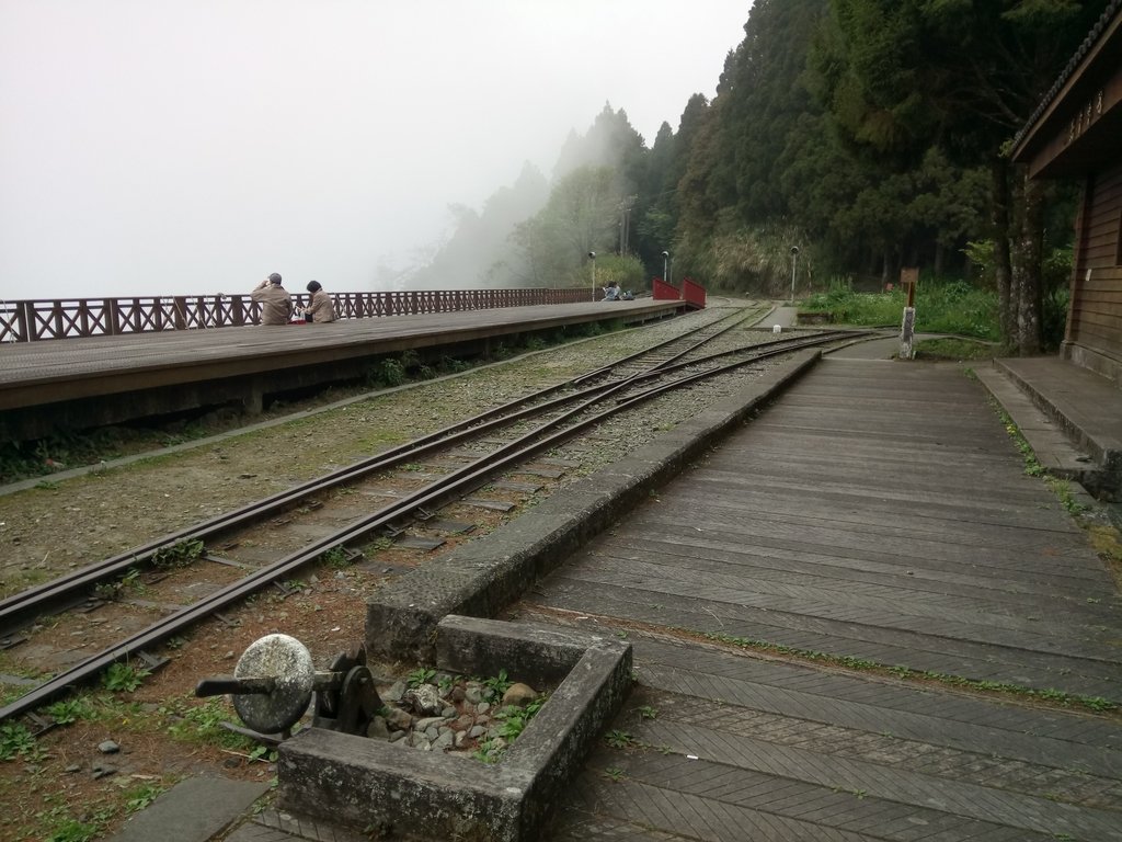 DSC_1522.JPG - 阿里山  二萬坪步道