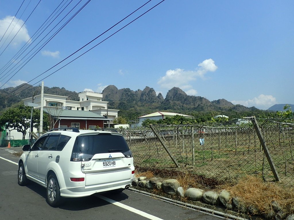 P3016037.JPG - 草屯平林  九九峰森林步道