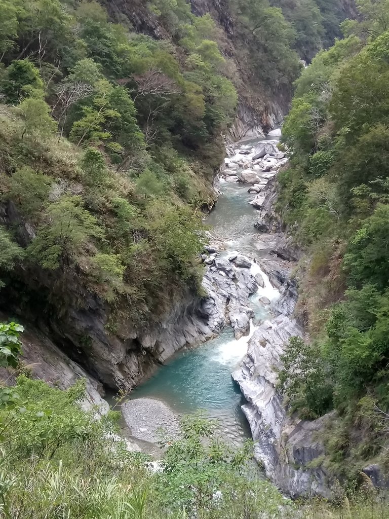 DSC_0537.JPG - 花蓮  天祥  白楊步道