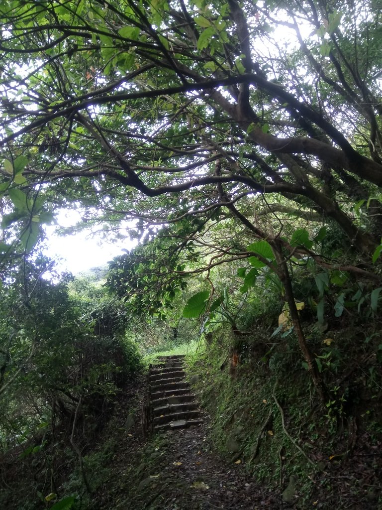 DSC_9442.JPG - 瑞芳  雞籠山登山步道