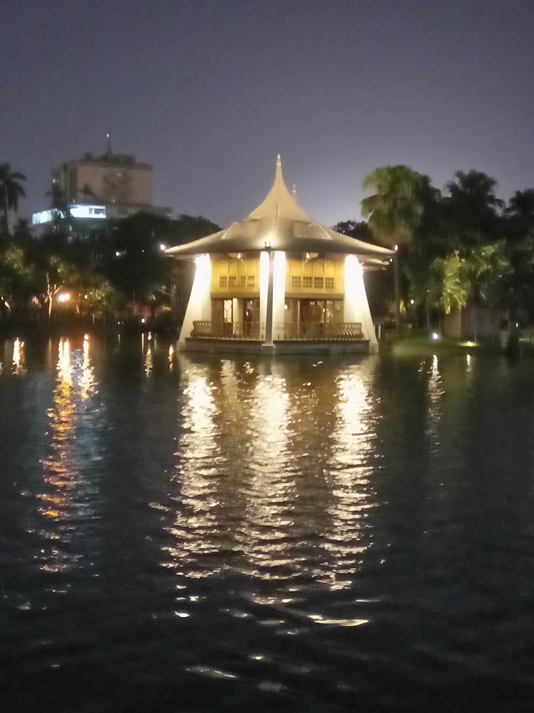 DSC_2482.JPG - 台中公園  湖心亭之夜