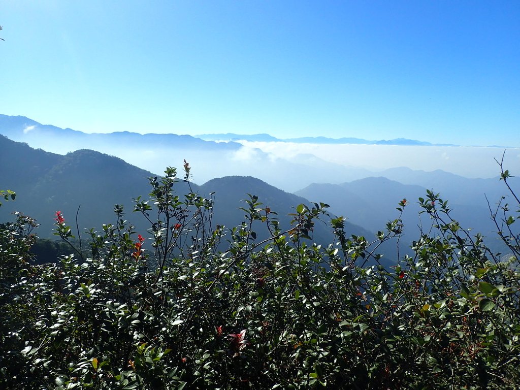 PA185534.JPG - 再訪---  台中  和平  鳶嘴山