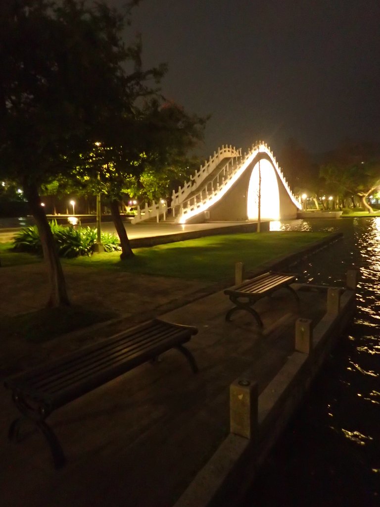 P3116973.JPG - 內湖  大湖公園之夜色