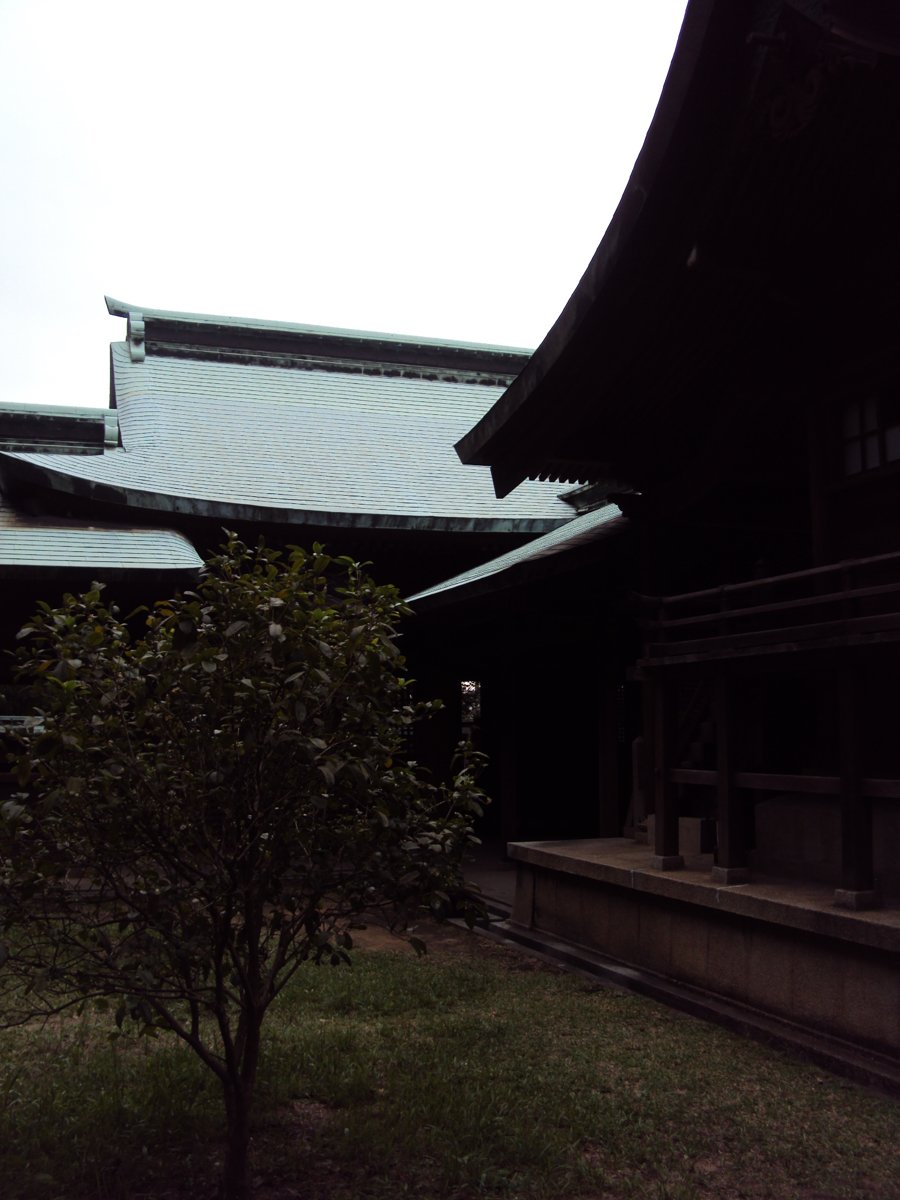 DSC01835.JPG - 再訪  桃園神社