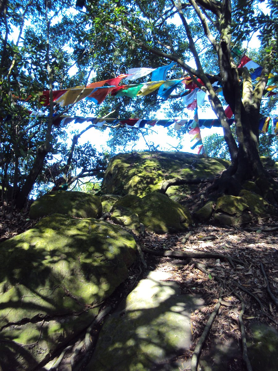 DSC01971.JPG - 三峽  鳶山登山步道